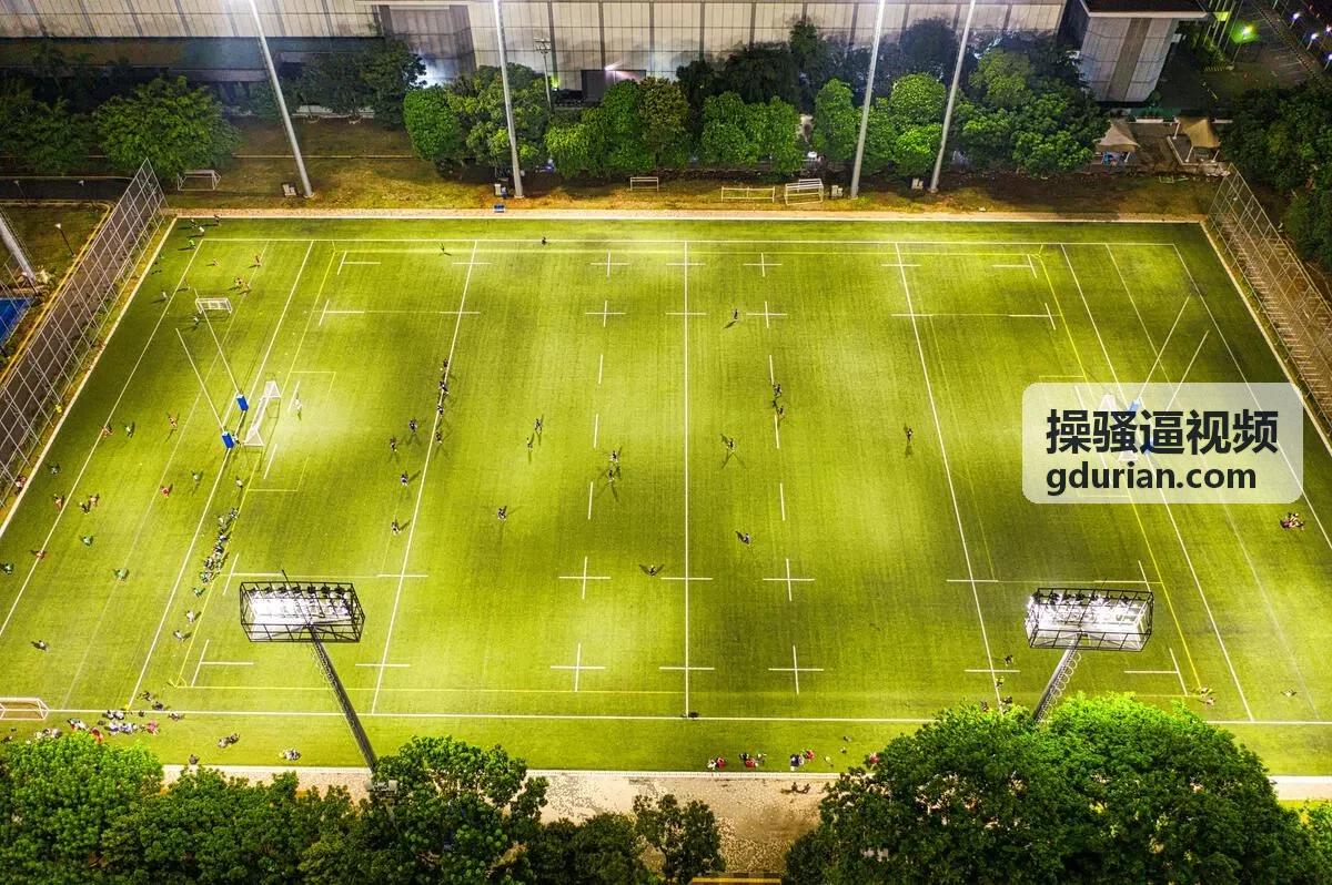 操骚逼视频热门内容3
